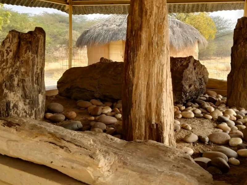 fossil-park-jaisalmer