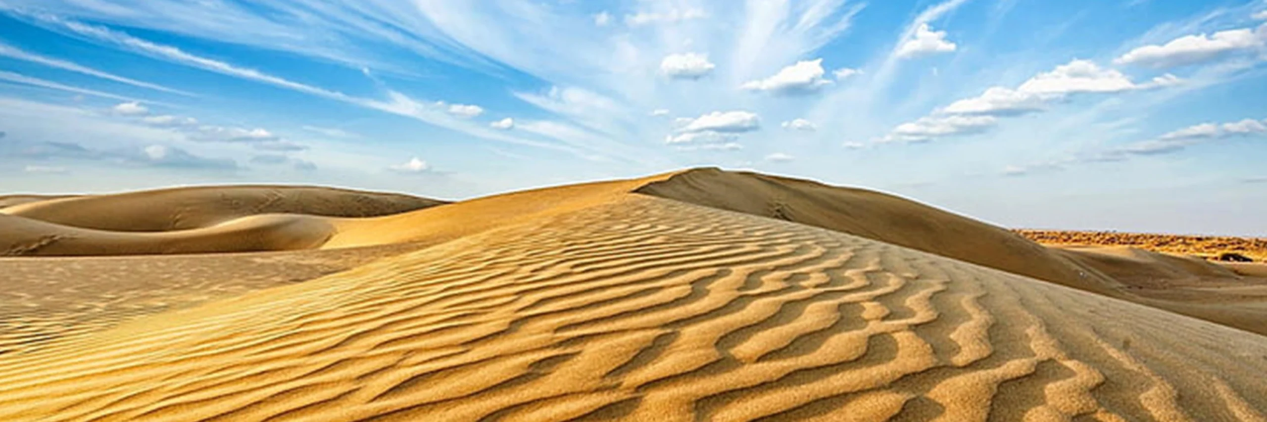 Our Popular Experiences