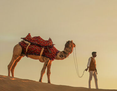 Discover the timeless charm of Rajasthan with authentic camel rides, breathtaking desert landscapes, and unforgettable cultural experiences
