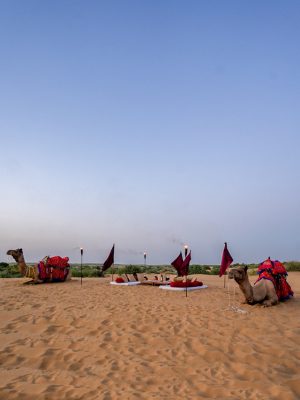 Conclude your journey with an exclusive twilight dinner on the sand, guarded by majestic desert camels